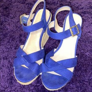 Blue Wedges